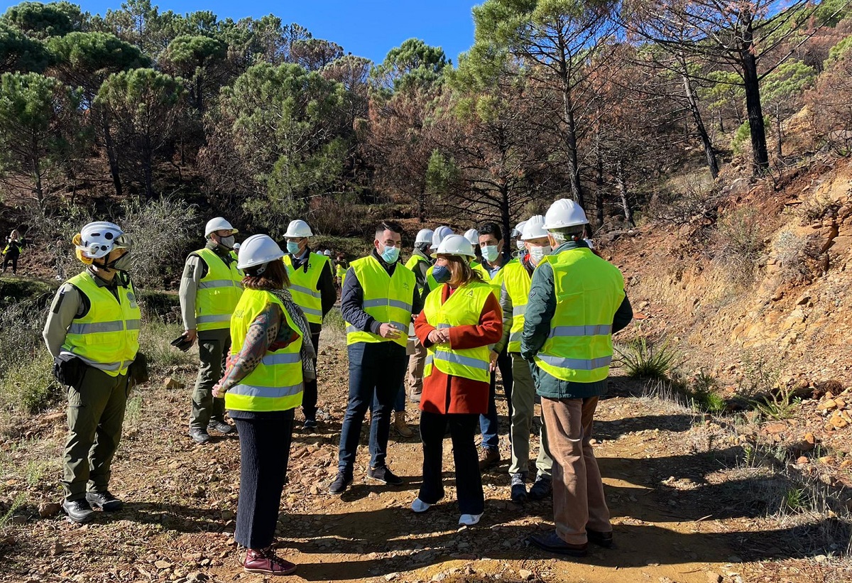 Los trabajos de emergencia de Sierra Bermeja tras el incendio se extenderán durante nueve meses