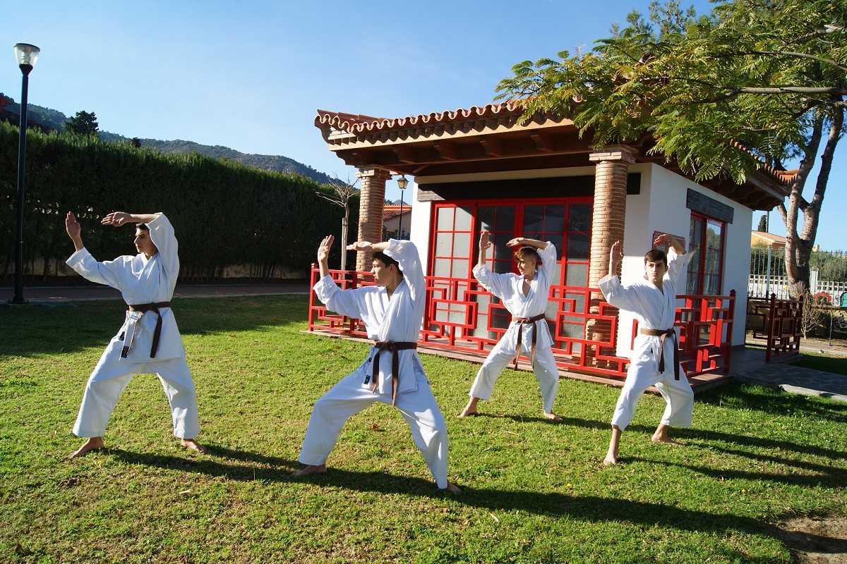 Los cuatro cinturones negros en un entrenamiento.
