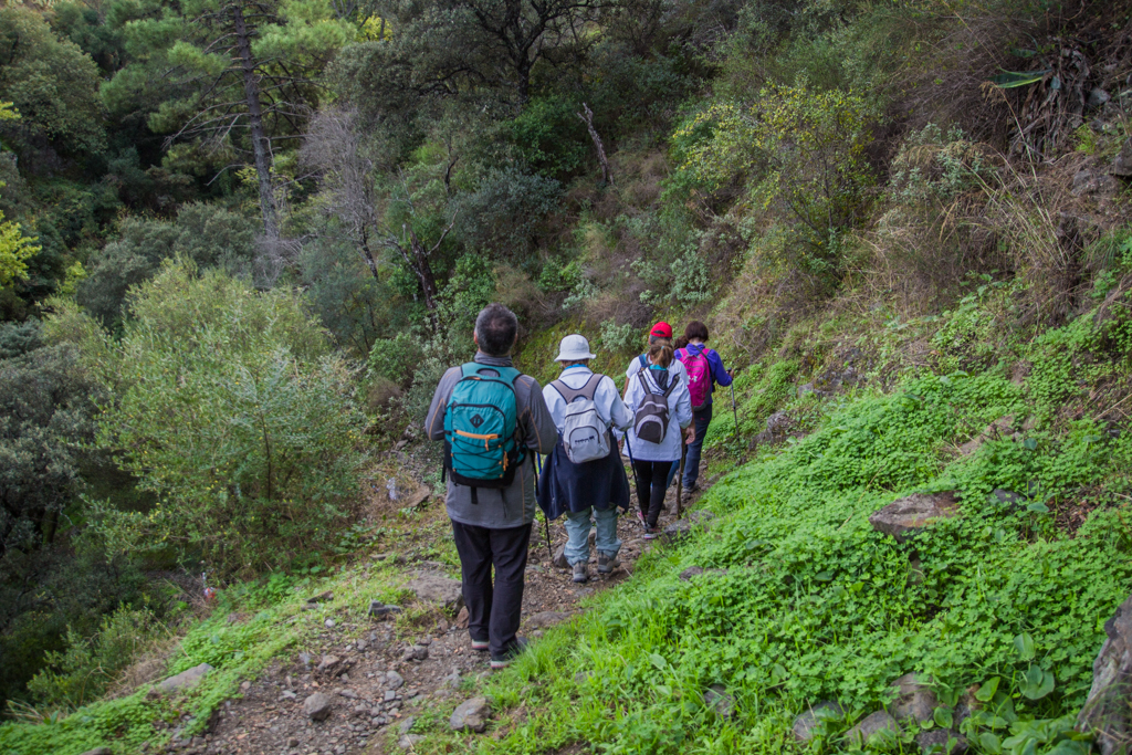 Imagen de uno de los senderos de la Serranía de Ronda.