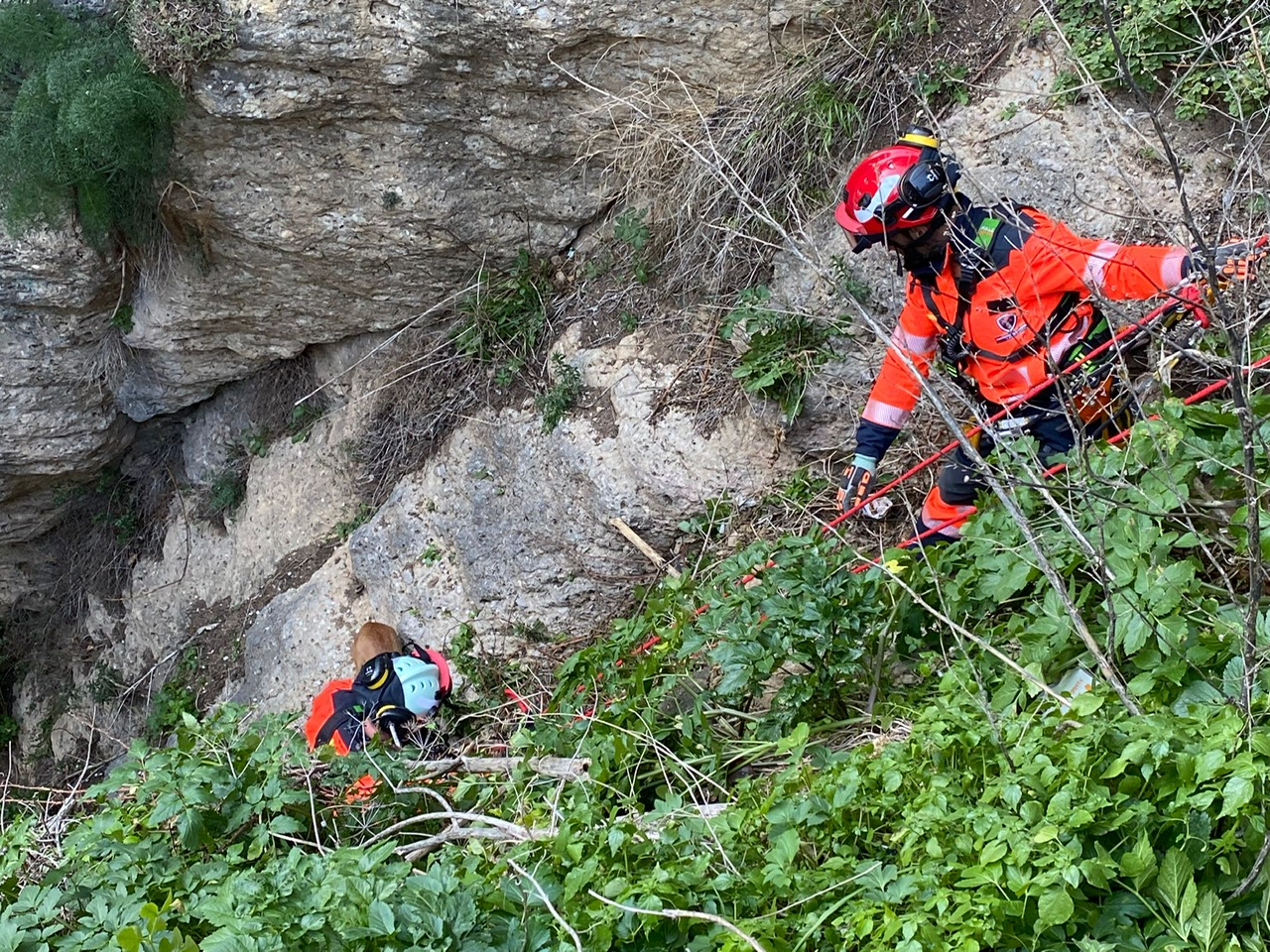 Momento en el que los bomberos rescatan al perro en los Jardines de Cuenca.