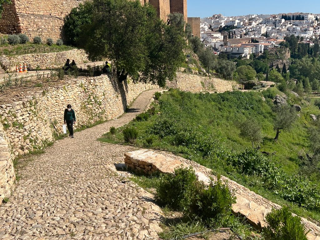 Se ha mejorado el sistema de riego y se han colocado nuevas plantas en este histórico camino.