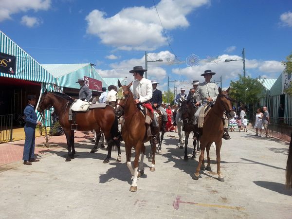 Se podrá acceder al recinto de forma directa por la carretera de circunvalación.