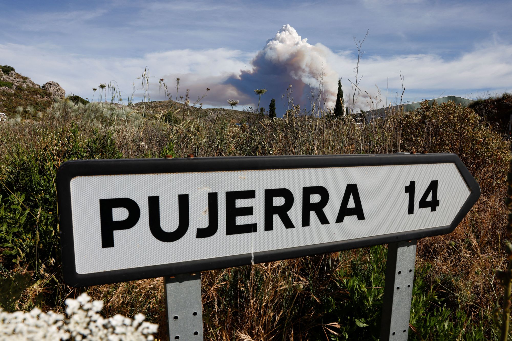 El incendio se ha declarado en el término de Pujerra. Foto Jon Nazca (Reuters).