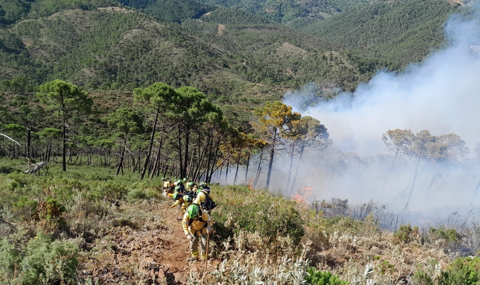 Tres bomberos, uno de ellos grave, han resultado heridos en el incendio.