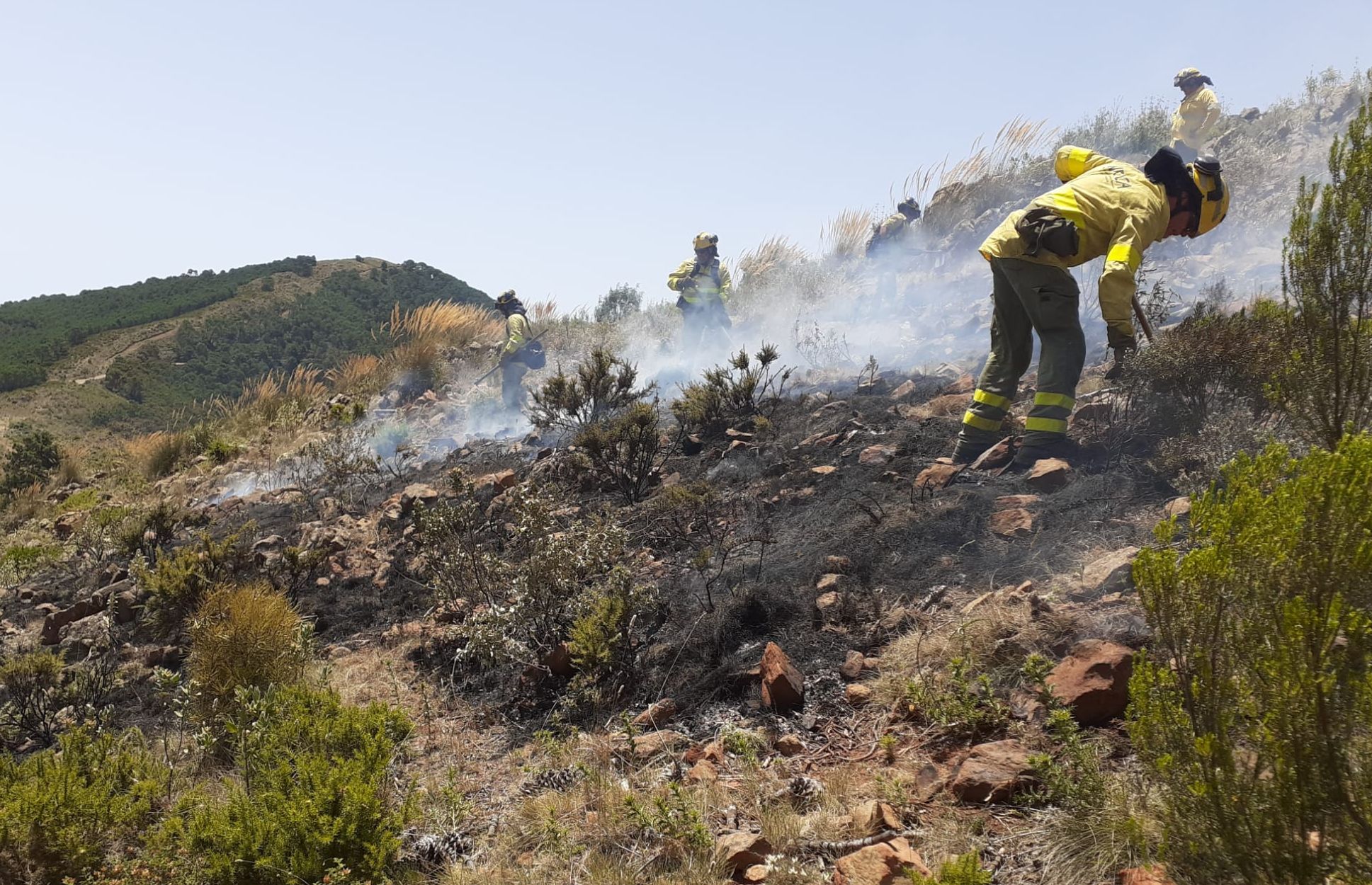 Los ‘Cascos verdes’ reforestarán este viernes Sierra Bermeja con ‘bombas’ de semillas