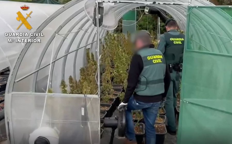 La Guardia Civil de Ronda desarticula una banda de traficantes de drogas que operaba en Málaga y Cádiz