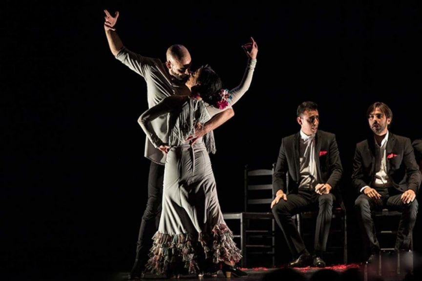 El bailaor Paco Hidalgo actuando en uno de sus espectáculos.