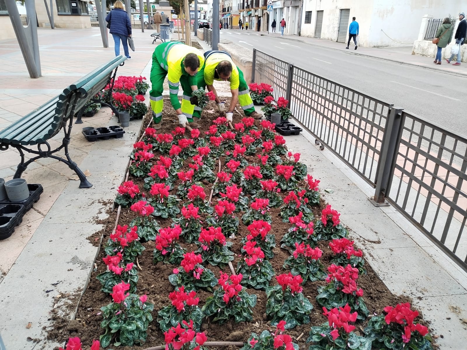 Los operarios ya esán cambiando las flores en los jardines públicos.
