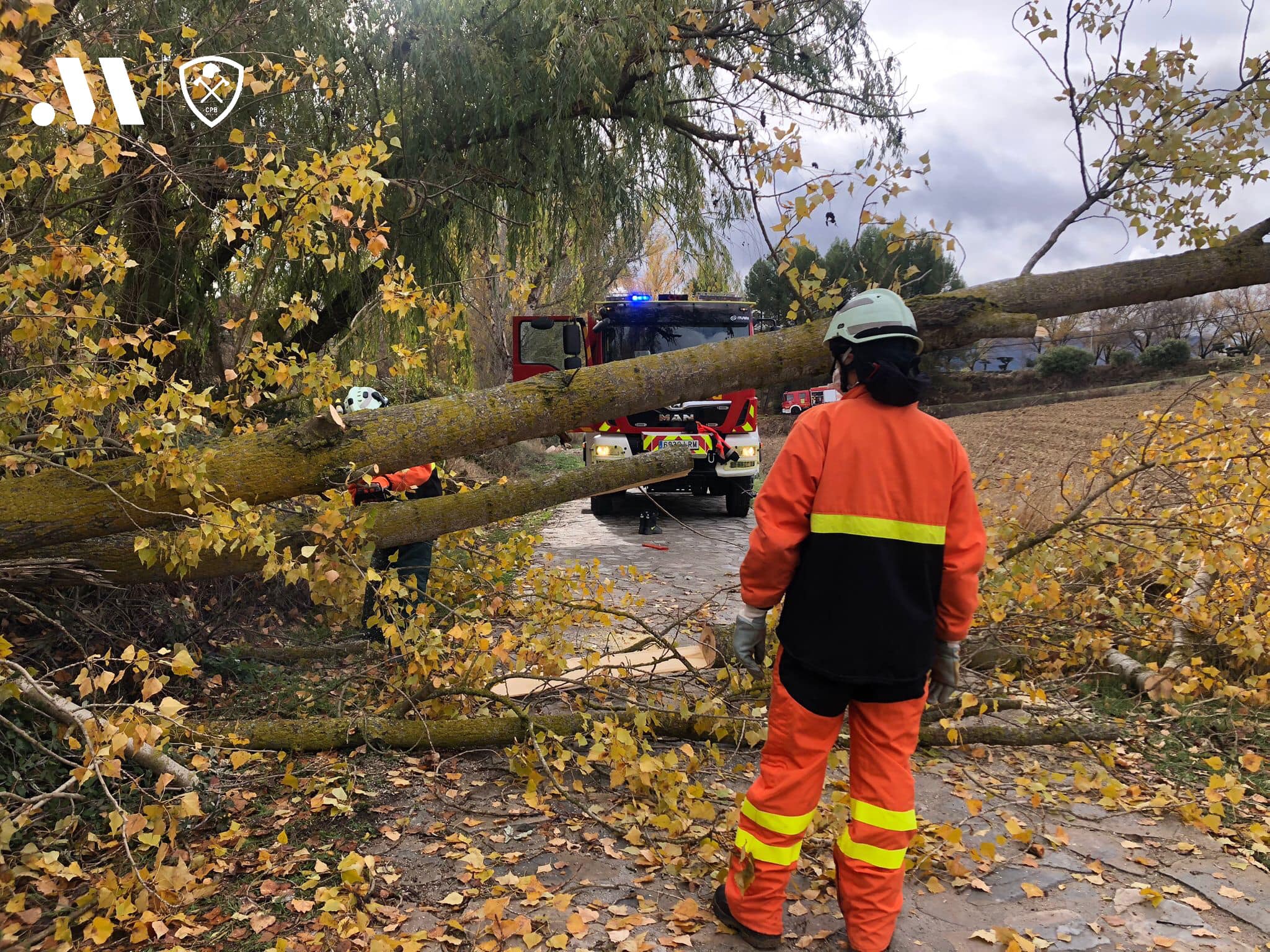 Los bomberos tuvieron que retirar el martes árboles caídos en el arroyo de Las Culebras por el temporal.
