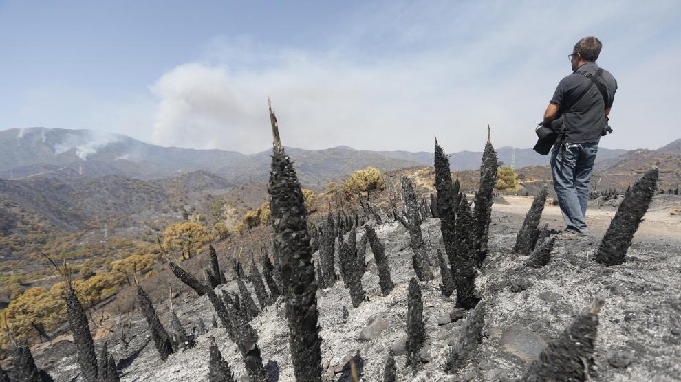 El Juzgado archiva la denuncia contra las cuatro personas acusadas por el incendio de Sierra Bermeja de 2022