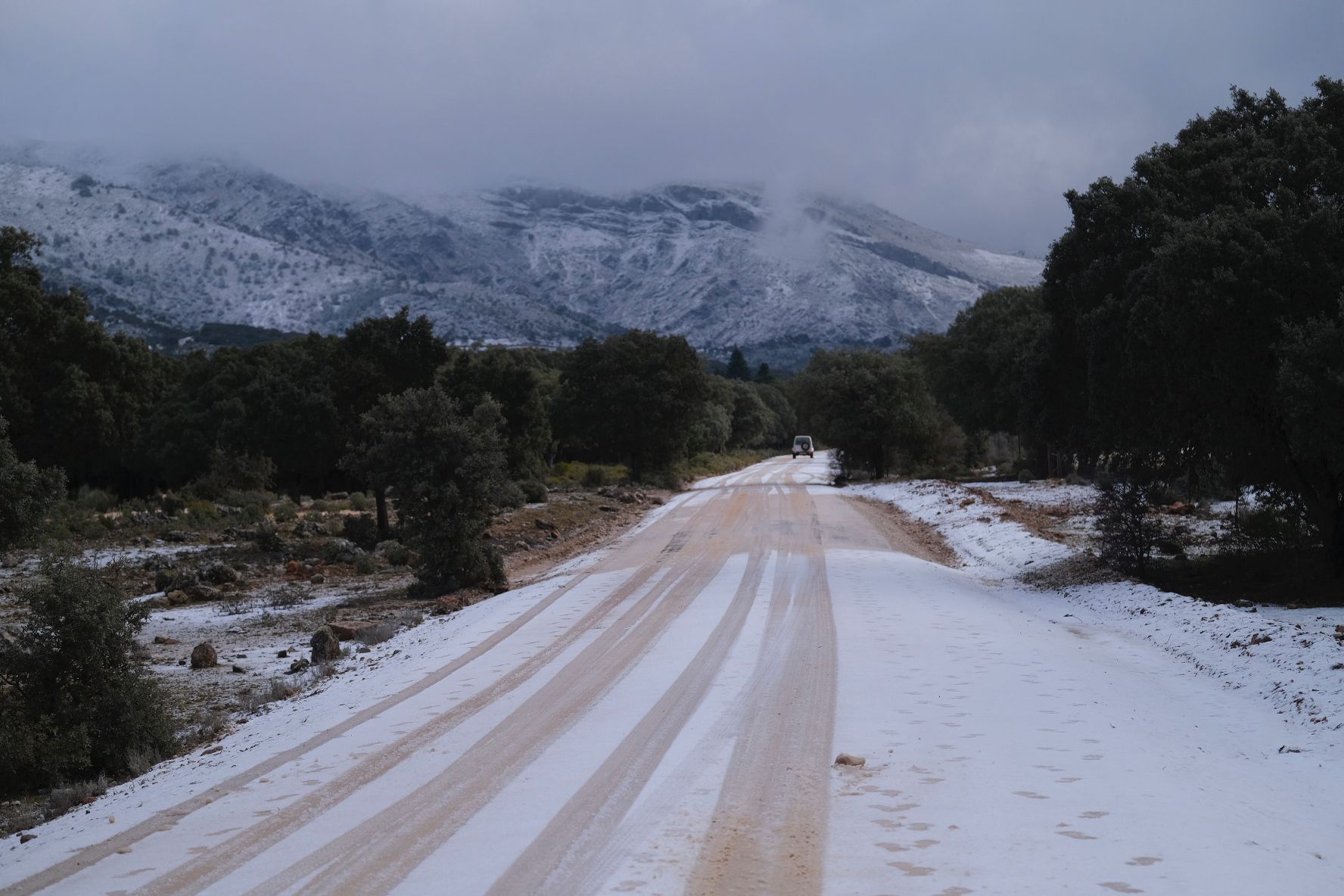 La Sierra de las Nieves ha amanecido este lunes con una intensa capa blanca.