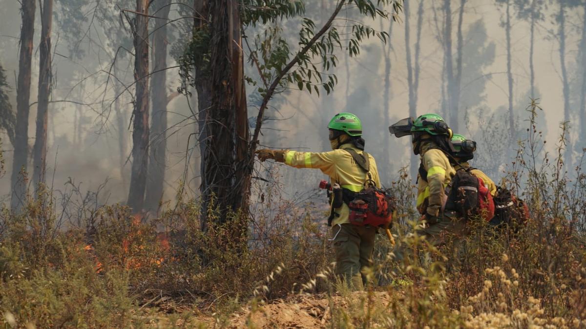 Andalucía adelanta la época de peligro alto de incendios forestales al 16 de mayo