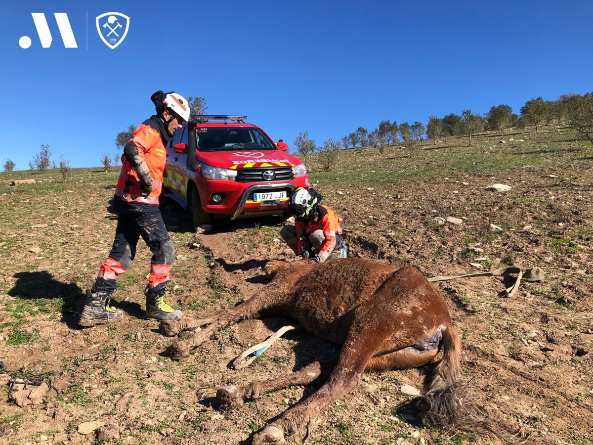 Momento en el que los bomberos recuperan el caballo de la acequia.