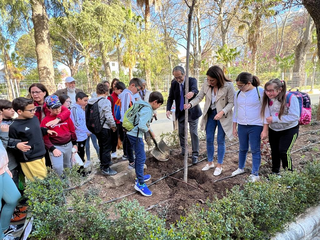 Los miembros de la Asociación Hispánica de Yokohama regresan a Ronda 30 años después para plantar más cerezos japoneses