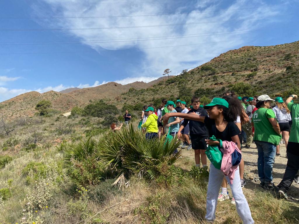 Un centenar de ‘cascos verdes’ reforestan la zona de Sierra Bermeja afectada por el incendio