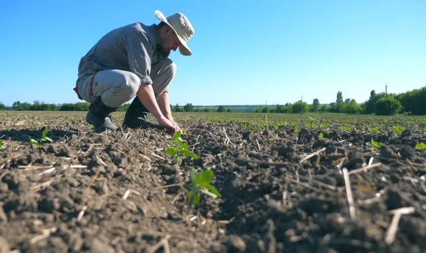 La Diputación destina cinco millones de euros en ayudas para los agricultores y ganaderos de la provincia