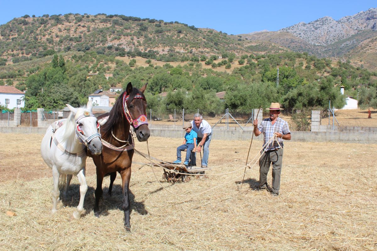 Además de la venta de productos de la huerta también se ofrecen talleres sobre actividades tradicionales del campo.