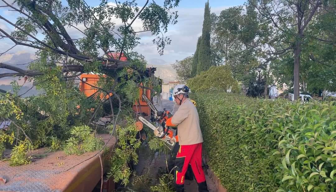 El temporal de lluvia y viento deja más de 40 litros de agua y numerosas incidencias