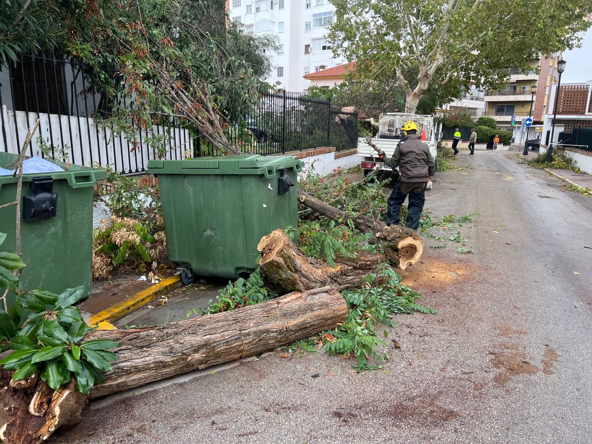 Las rachas de viento de más de 100 kilómetros por hora provocan en Ronda 70 incidencias