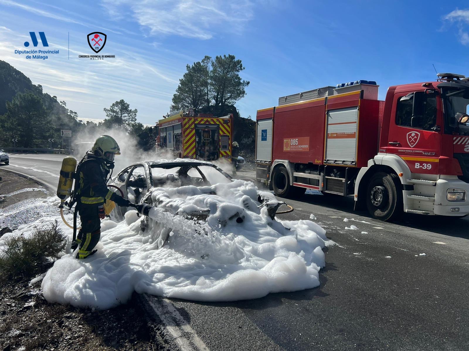 El vehículo quedó completamente calcinado. Foto: Bomberos Ronda.