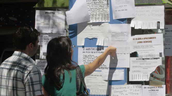 Las ayudas están destinadas a jovenes de entre 18 y 35 años de edad.