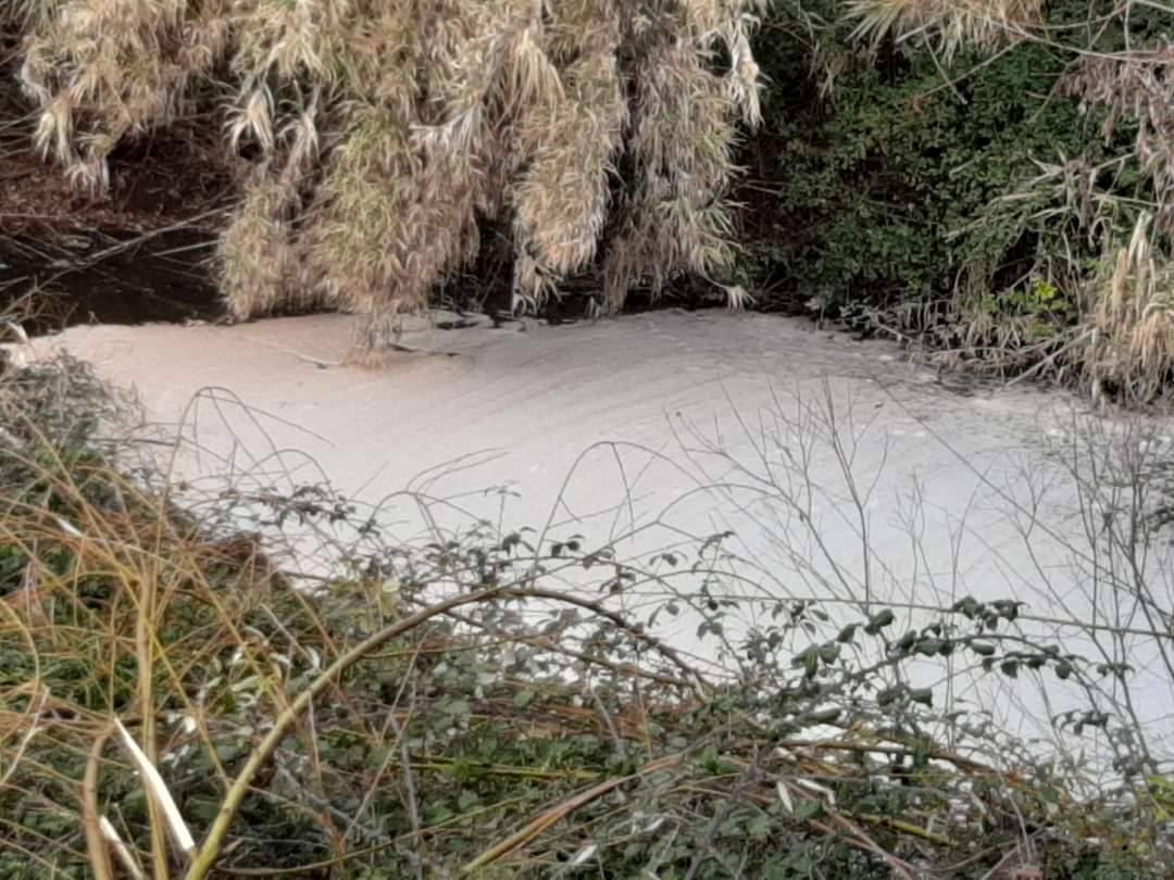 Ecologistas en Acción denuncia el vertido de residuos industriales en el río Guadiaro