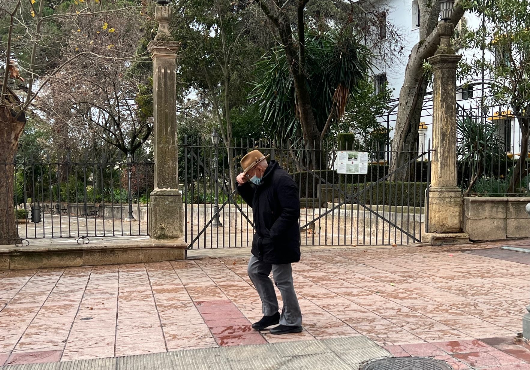 El fuerte viento obliga a cerrar la Alameda del Tajo y el cementerio de San Lorenzo