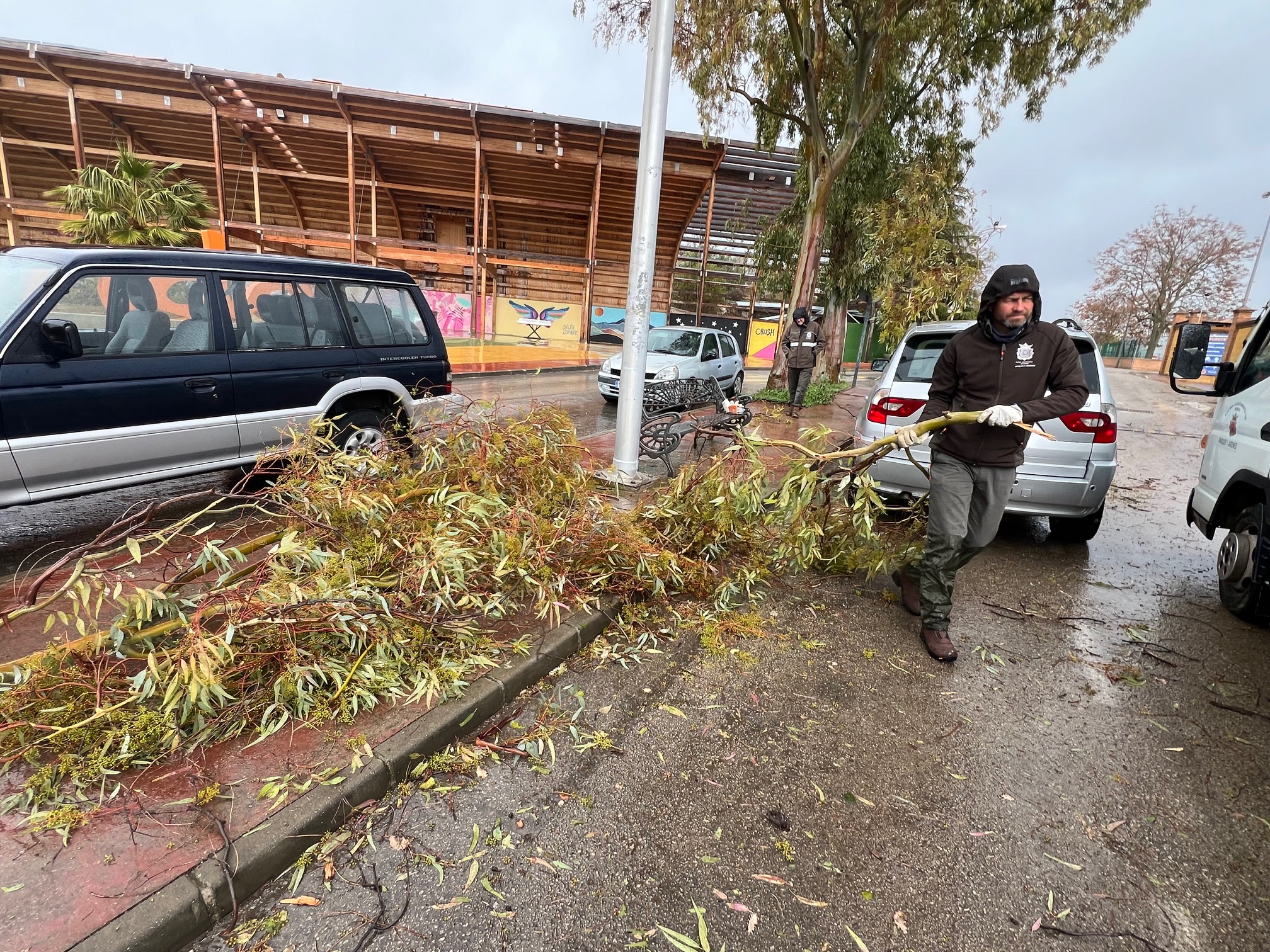 Un operario de la brigada de Parques y Jardines retirando unas ramas caídas en el Polígono Industrial.