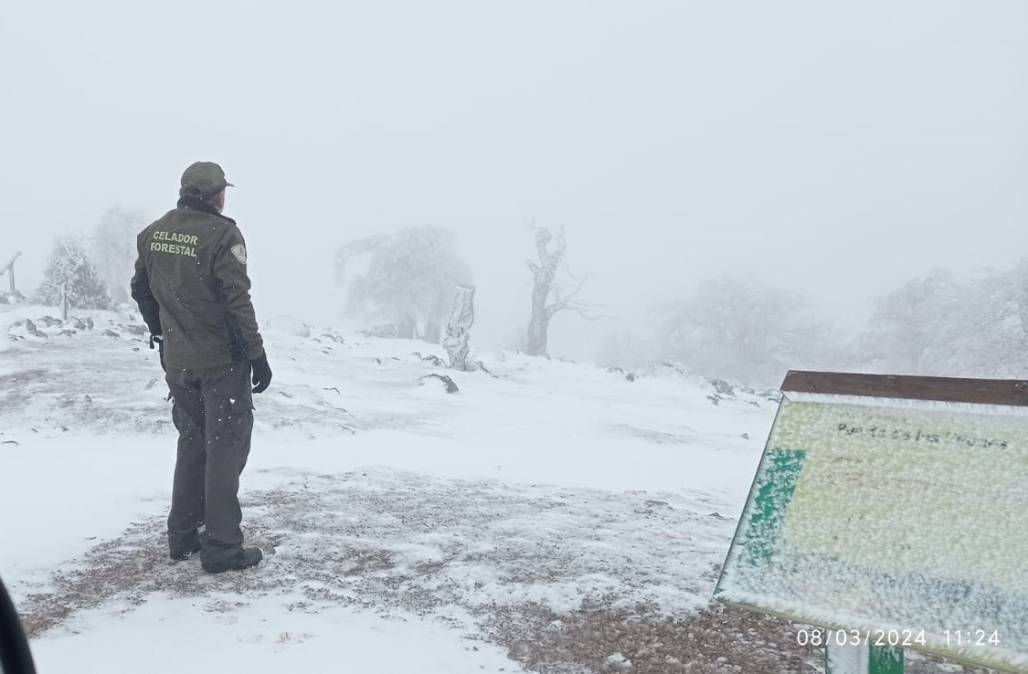 Un agente de Medio Ambiente contempla la intensa nevada caída en el Parque Nacional.