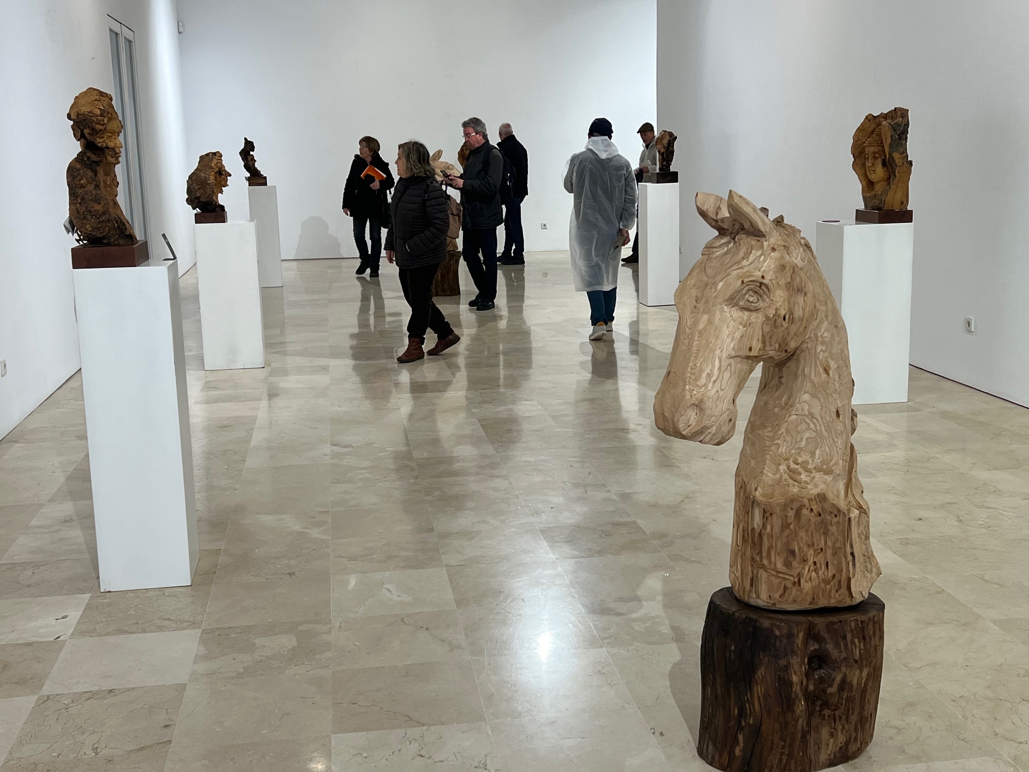 La muestra se ha situado en la sala de exposiciones del Convento de Santo Domingo.