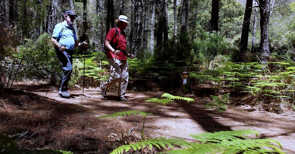 La Diputación destina cerca de un millón de euros para mejorar la Gran Senda de Málaga que discurre por parajes de la Serranía