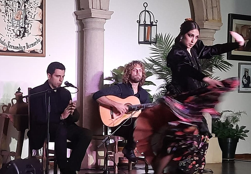 La bailaora Maricarmen Macías durante su actuación en la Peña Flamenca.