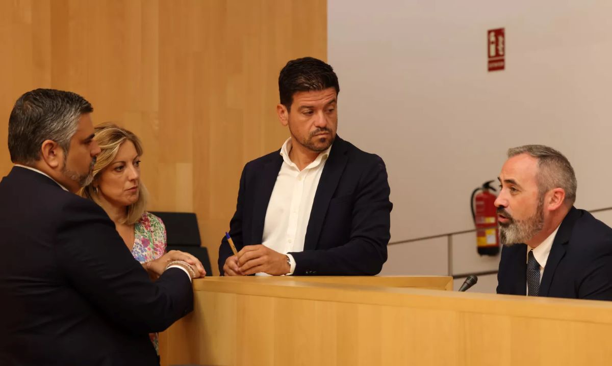 Representantes de los distintos partidos en el Pleno de hoy de la Diputación de Málaga.