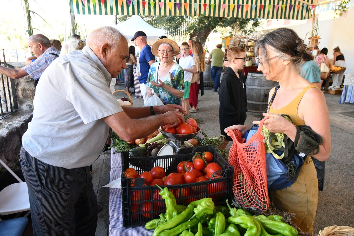 Numerosos vecinos y visitantes acuden todos los años a este encuentro agrícola del Genal.