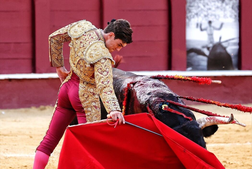 Javier Orozco en uno de sus lances en la Feria de Málaga de esta tarde. Foto Arjona.