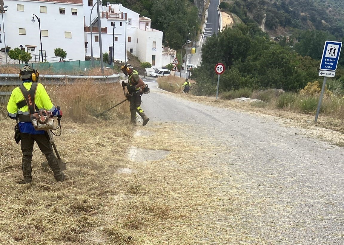 Los trabajos de desbroce se están realizando en todos los territorios de la provincia.