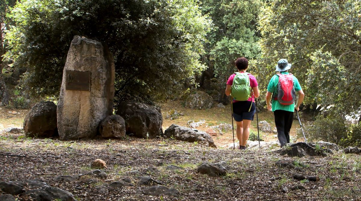 La Diputación destina 1,6 millones a la mejora de carriles, senderos, miradores y aparcamientos en la Sierra de las Nieves