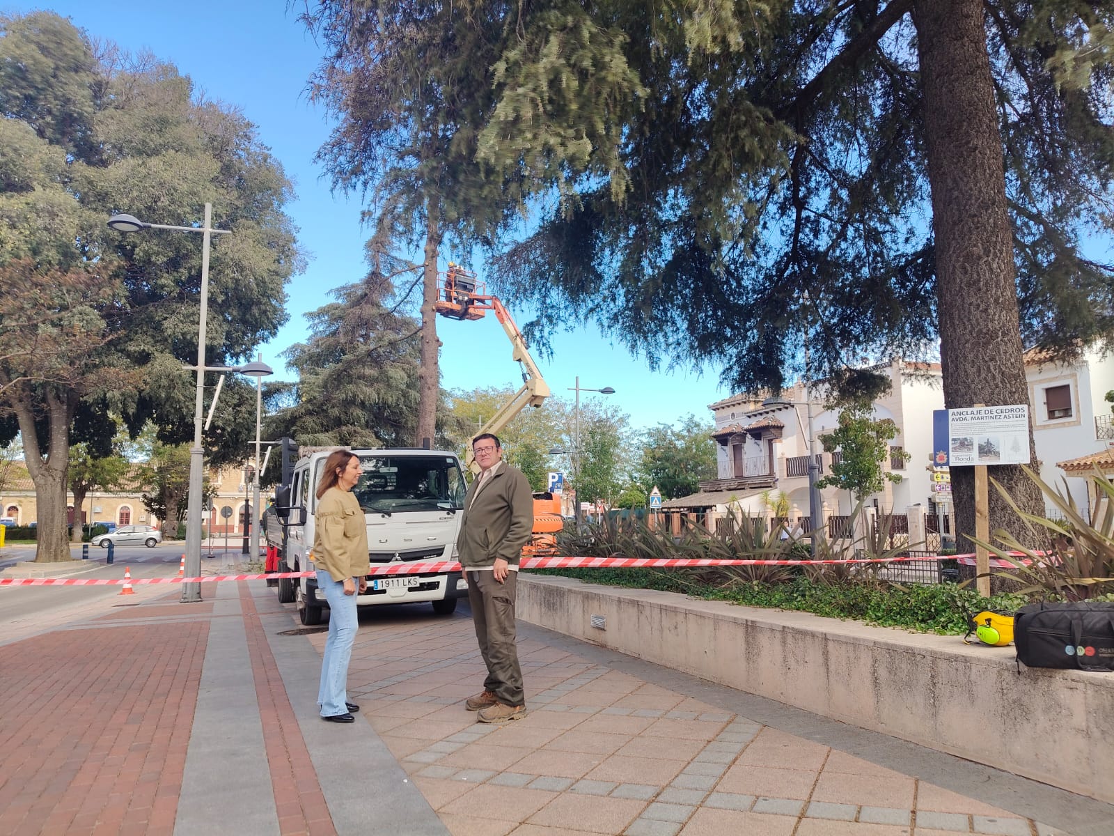 Hoy han comenzado las labores de protección de los cedros.