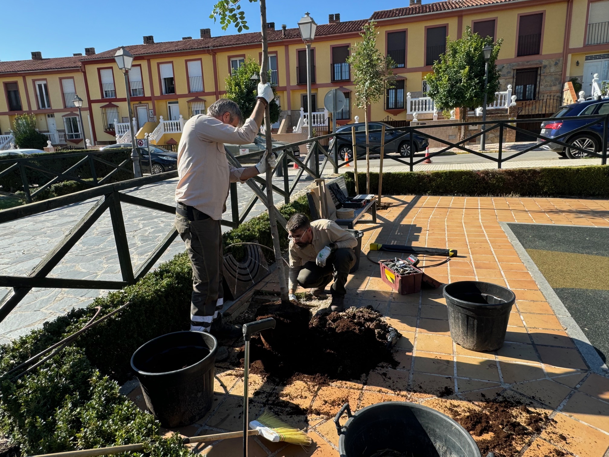 Los trabajos de plantación se han iniciado en la urbanización Almocábar.