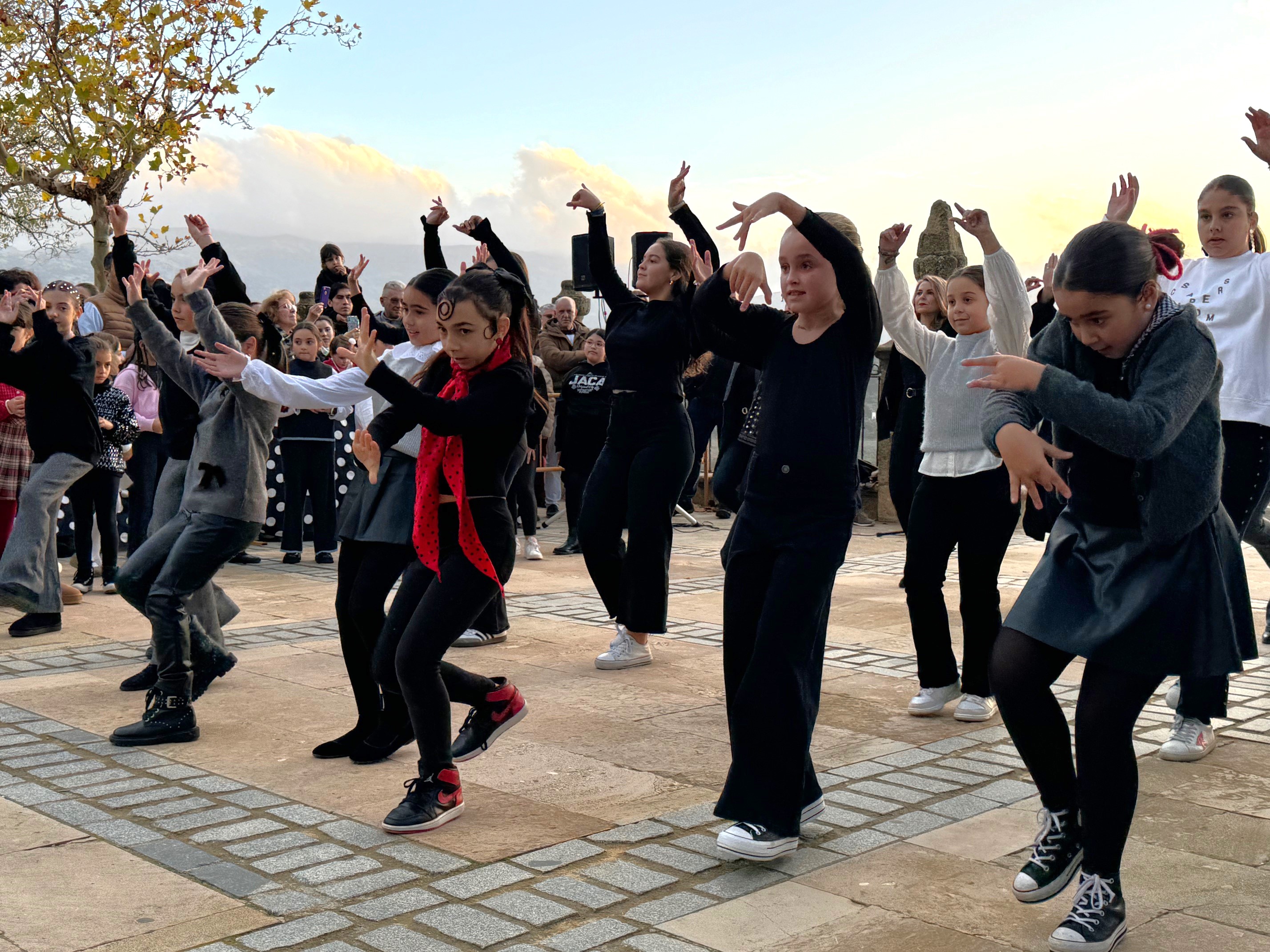 Ronda celebrará el Día del Flamenco con espectáculos en las barriadas