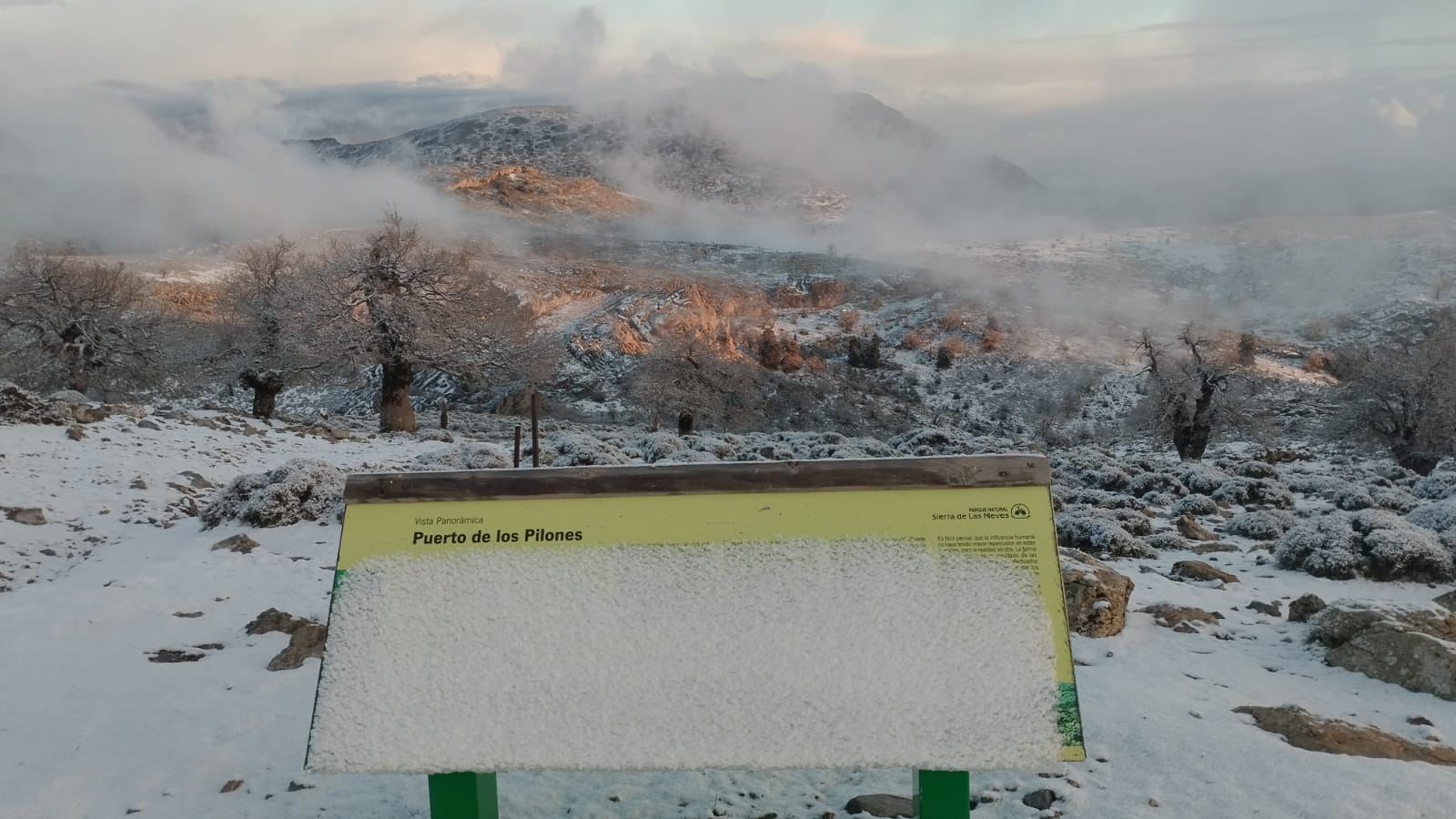 Imagen del Puerto de Los Pilones con los primeros copos de nieve de este invierno. Foto Agentes Medio Ambiente,