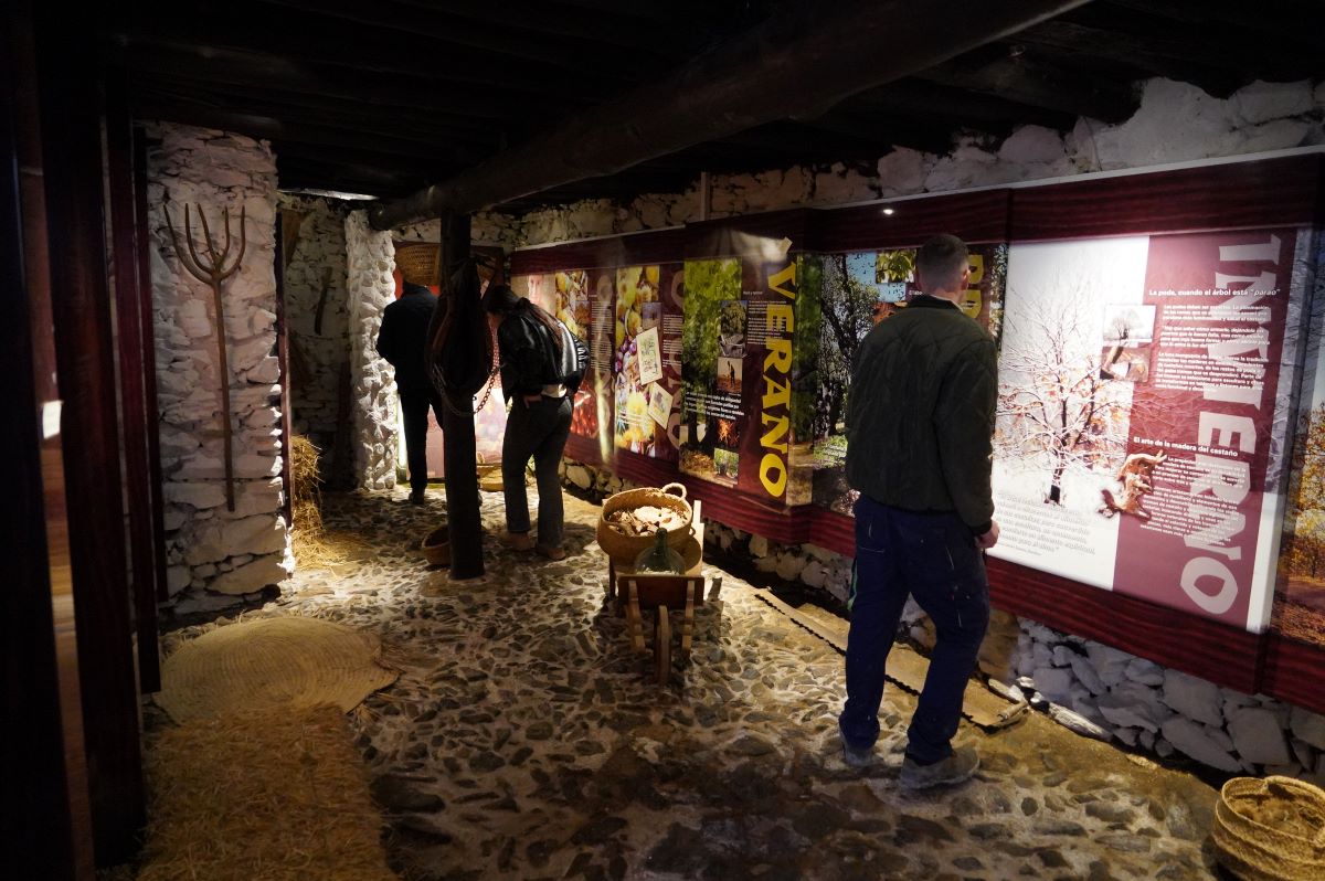 Pujerra ofrece visitas gratuitas a su Museo de la Castaña
