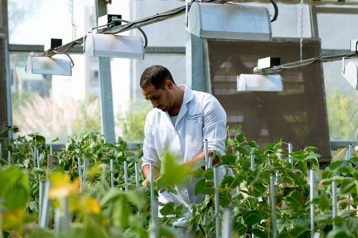 Imagen de un centro experimental de bioeconomía.