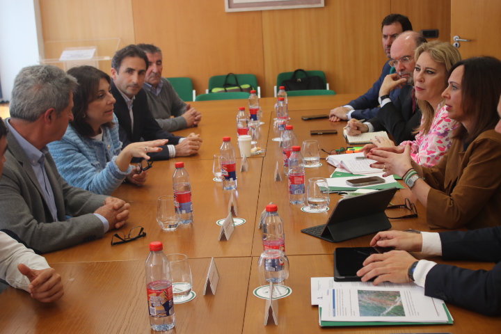 Momento de la reunión mantenida entre la alcaldesa y empresarios rondeños con las consejeras de Economía y de Fomento.