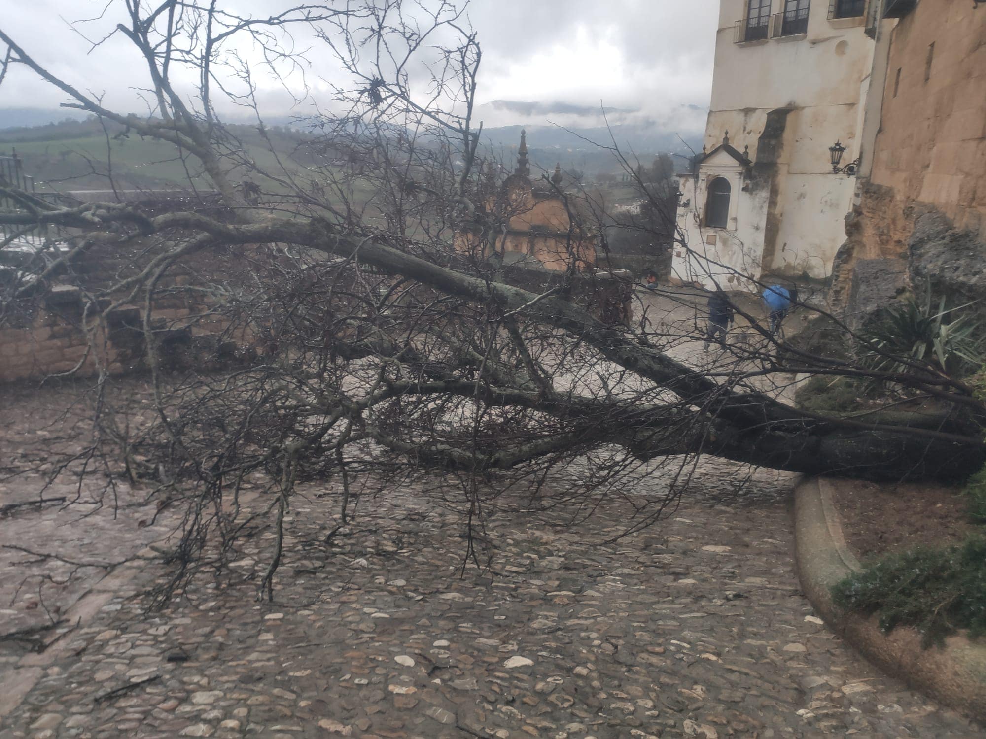 Las intensas lluvias del viernes han dejado hasta 80 litros en algunos puntos de la Serranía