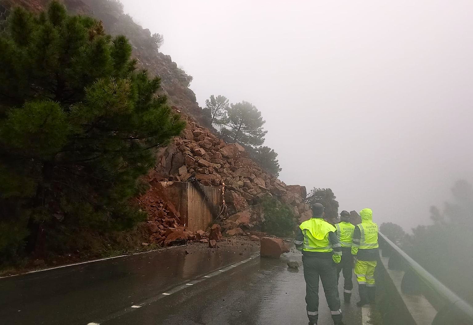 La carretera Ronda.San Pedro ha quedado cortada por el desprendimiento.