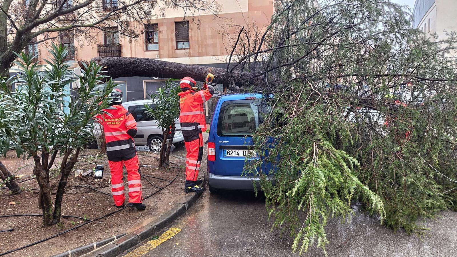 El temporal de lluvia y viento deja este sábado numerosas incidencias en Ronda