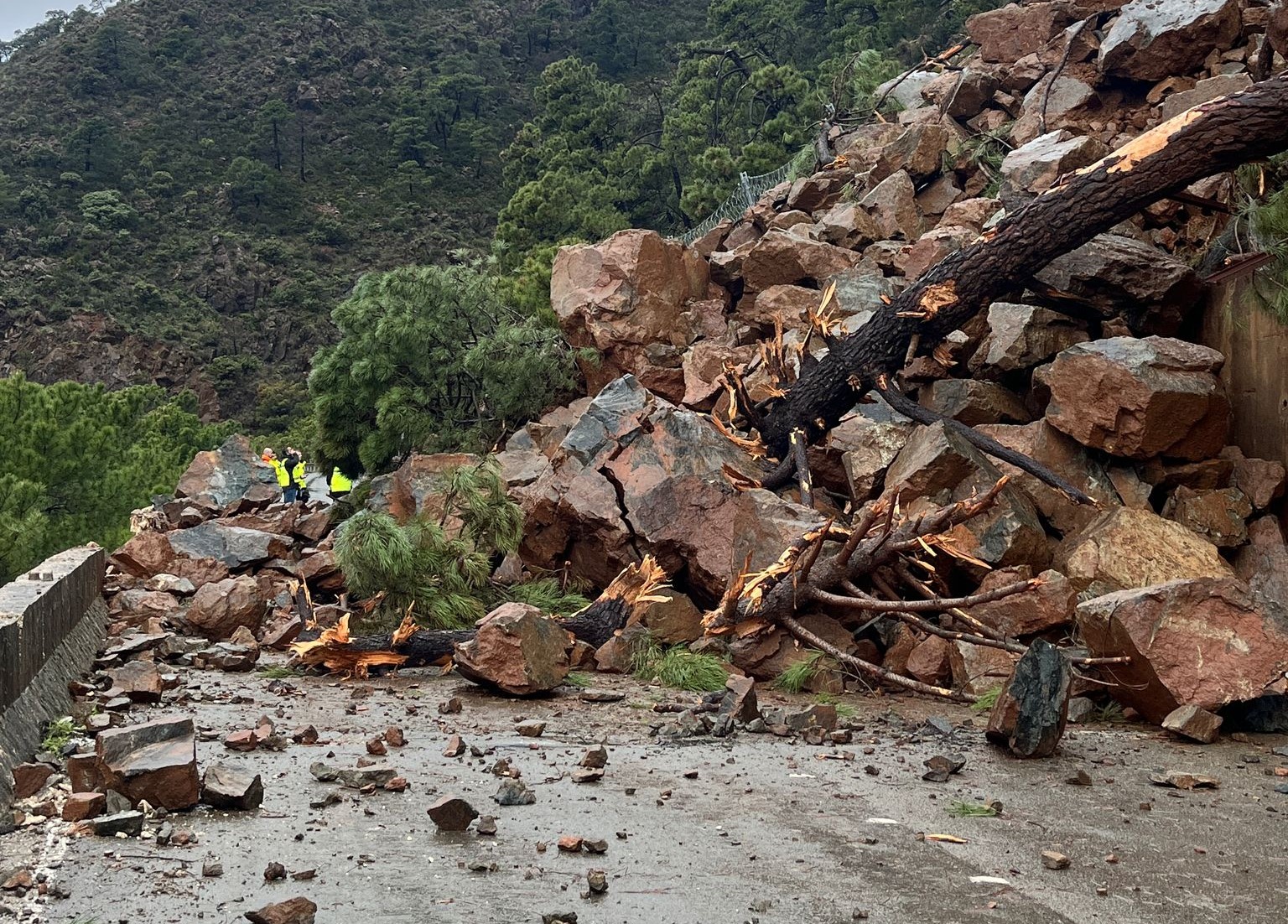 Toneladas de rocas y tierra se han desprendido sobre la carretera de la Costa.