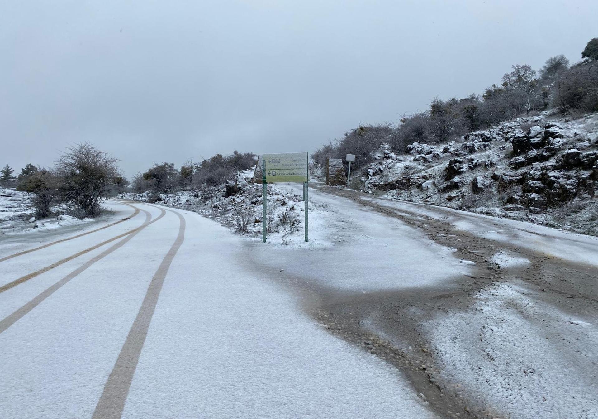 La nieve regresa a los parajes del Parque Nacional Sierra de las Nieves