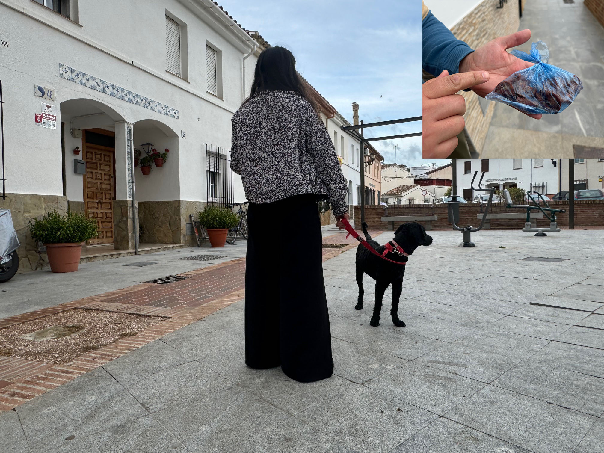 Los cebos se hjan localizado en la avenida Serranía, en la UVA.